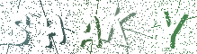 Type the Shadowed Word