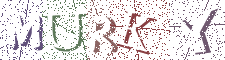 Type the Shadowed Word