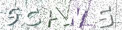Type the Shadowed Word