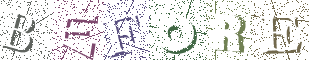 Type the Shadowed Word