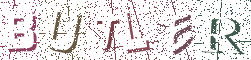 Type the Shadowed Word