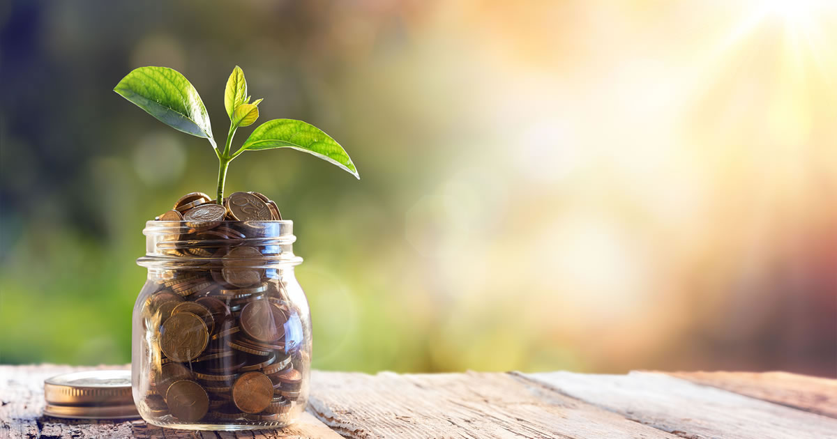 Plant growing from jar of coins