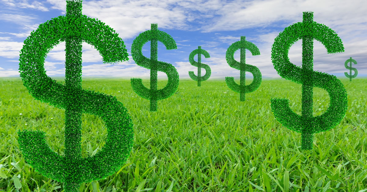 Multiple recurring dollar-symbol “plants” in grass field with blue sky