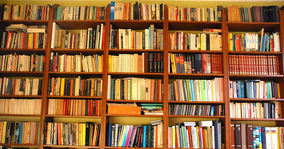 Wall of shelves filled with countless books and reference guides