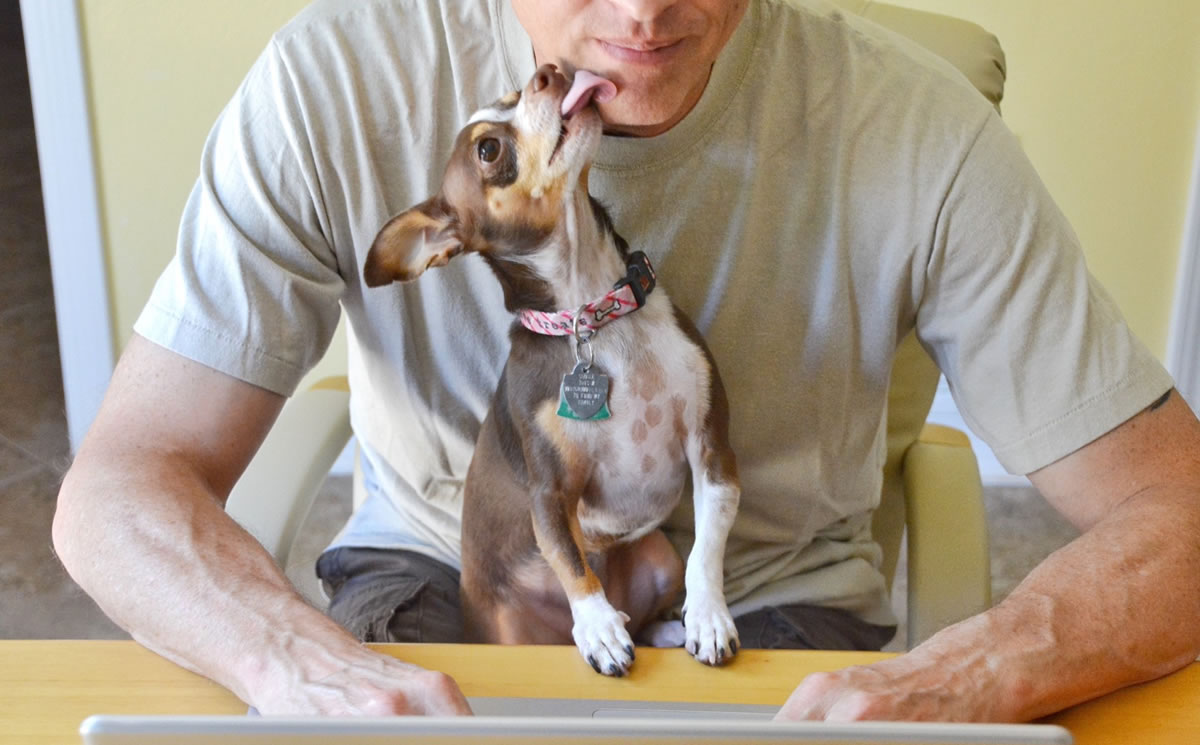 Man writing on laptop as cute dog gives him a kiss