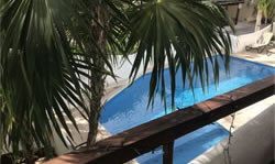 View from balcony of swimming pool and palm trees