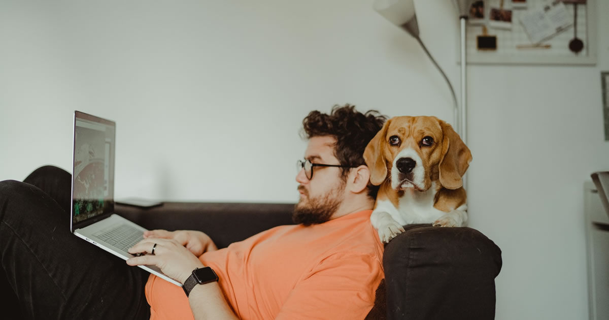 Man streaming show on laptop with beagle sitting on the arm of the couch behind him