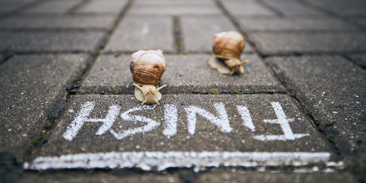 Two snails running towards the finish line
