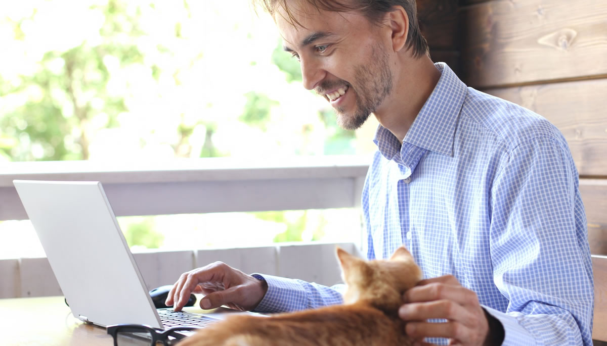 Young businessman writing on a laptop, smiling and stroking a kitten