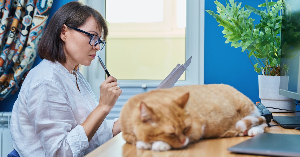 Female freelance copyeditor working at desk with cat
