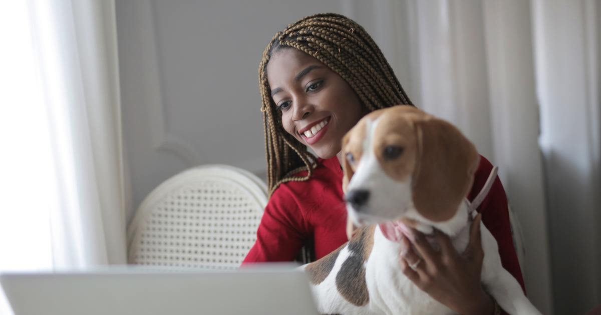 Writer with laptop holding a dog