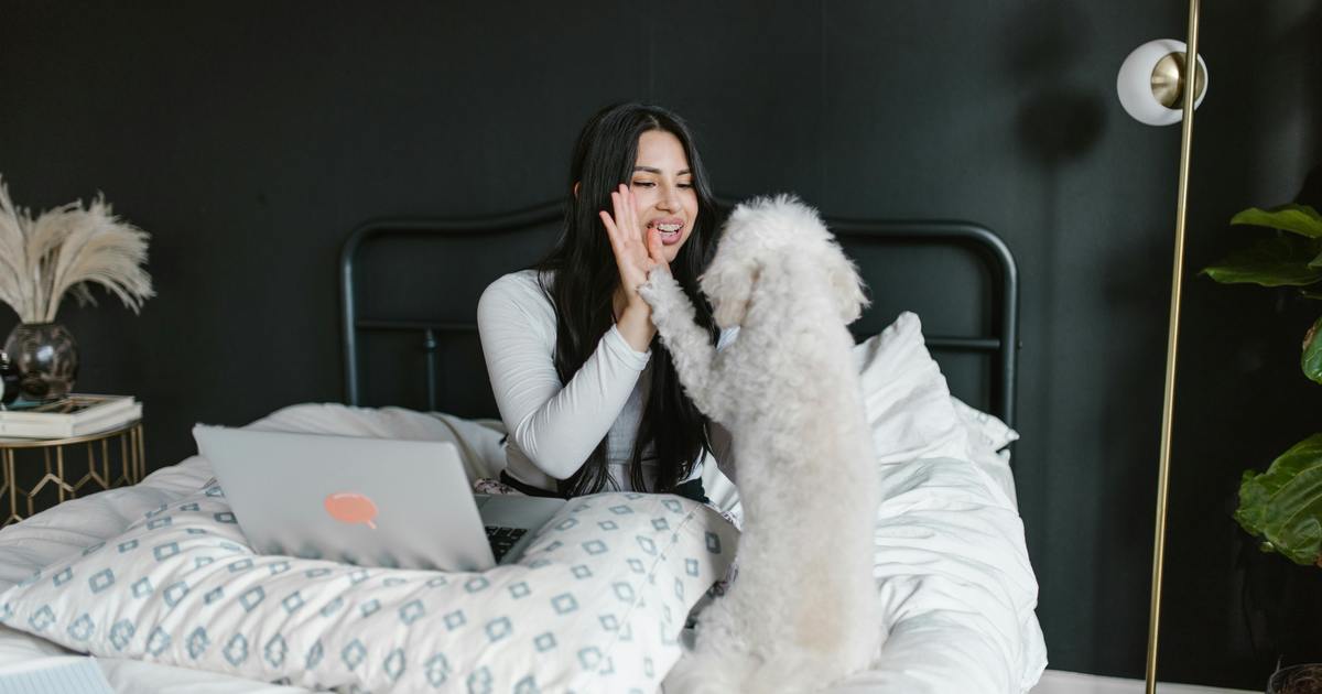 Writer sitting on bed with laptop with dog