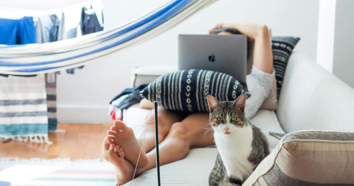 Writer laying down with laptop and cat