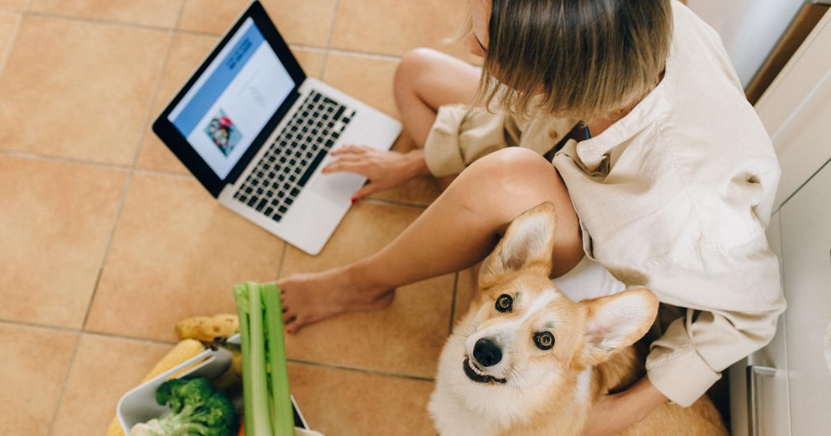 Writer sitting on floor with laptop and dog