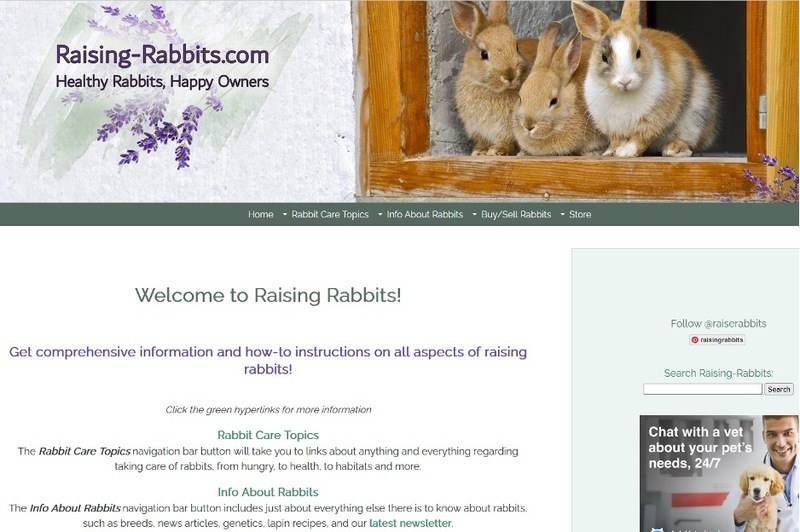 Screen shot of the Raising Rabbits homepage