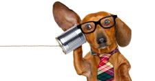 Dog wearing necktie and eyeglasses listening to tin can telephone