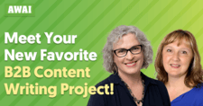 Meet Your New Favorite B2B Content Writing Project!